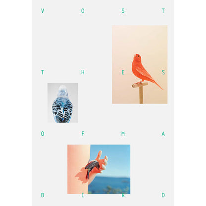 韓国雑誌「VOSTOK MAGAZINE ボストークマガジン」第36号 Birdsong : The Song of Many Birds［送料込］